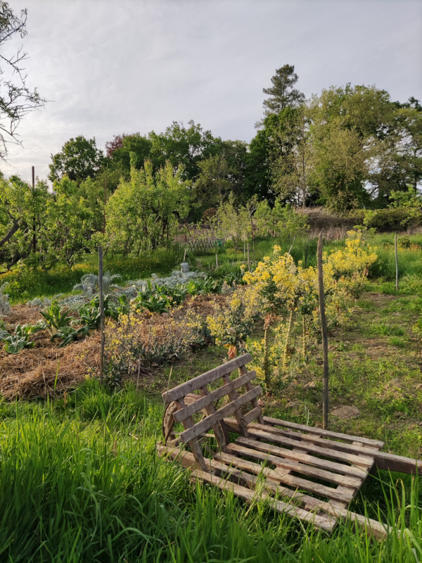 Jardin potager