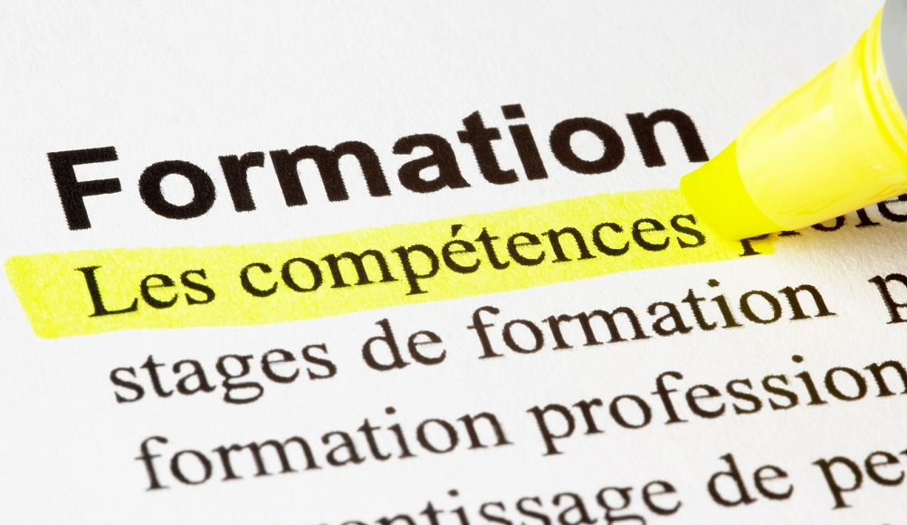 Formation & compétences